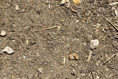 Close-up Soil Texture with Rocks and Debris Stock Photos