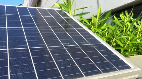 Close-Up of Solar Panel with Greenery Stock Footage 280052187