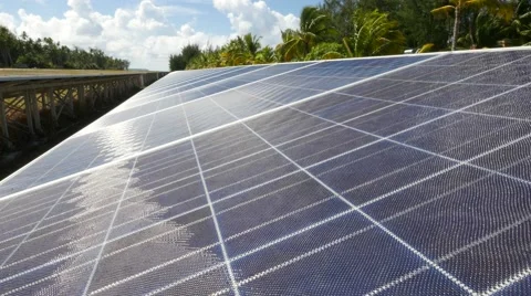 Close up of solar panels and coconut trees Stock Footage 68702055