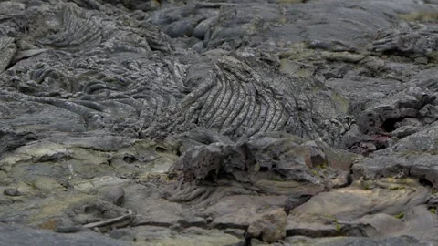 Close-up of Solidified Pahoehoe Lava Formations in the Icelandic Volcanic Field Stock Footage 339968620