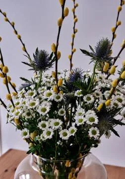 Close up of some flowers in spring Stock Photos