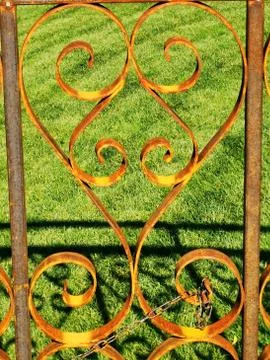 A close up of some grass Stock Photos