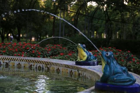 Close-up of some nice frog-shaped figures on a fountain. Stock-Fotos
