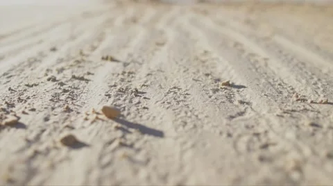 Close-up of  someone going alone in the desert  Stock Footage 56058090