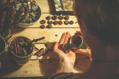 Close up sorting natural objects from forest for craft concept photo Stock-Fotos
