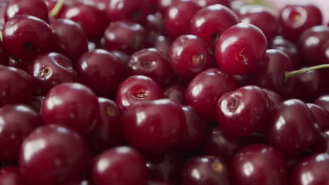 Close-up of sour cherry fruit pile 4K footage Stock Footage 158899731
