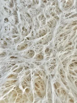 Close up of a sourdough, tesxtured bakground Stock Photos