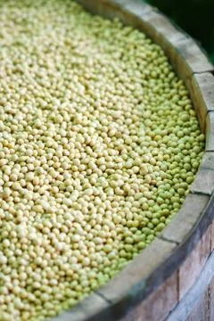 Close up soybean in tank Stock Photos