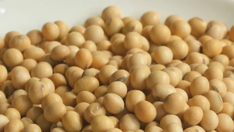 Close up Soybean on a white background Rotation. Stock Footage 142656242