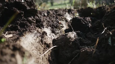 Close up of spade working with dirt in the garden slow motion Stock Footage 44228172