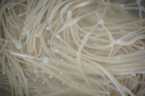 Close up of spaghetti boiling in water with bubbles and foam during the coo.. Stock Photos