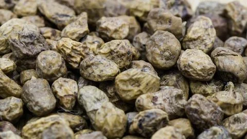 Close up of Spanish Tiger Nuts Stock Photos