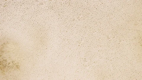 Close up of sparkling champagne Stock Footage 100451254