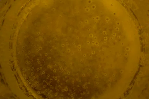 Close up of sparkling drink Stock Photos