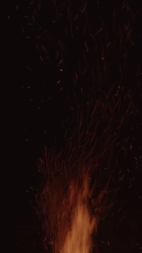 Close-up of sparks flying from a fire at night. Vertical video. Stock Footage 309046779