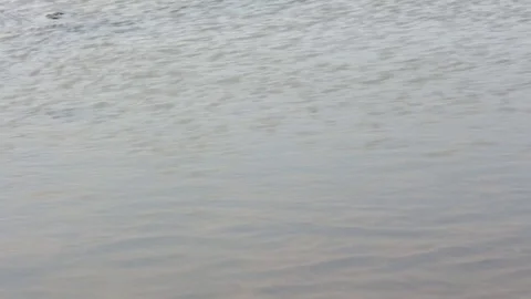 Close-Up of Sped up Running Water Video stock 85391464