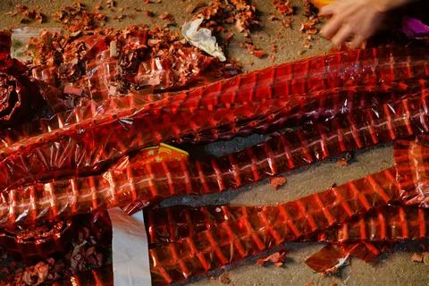 Close-up of spent red firecracker strings and paper debris on ground 写真素材
