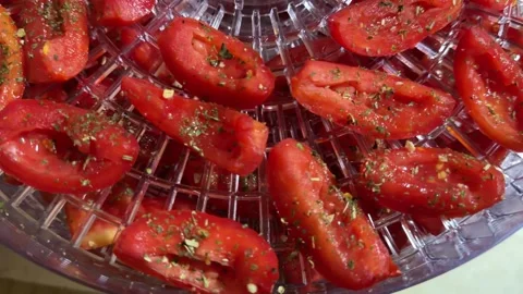 Close-up of Spiced Tomato Slices on Dehydrator Grate Stock Footage 345932056