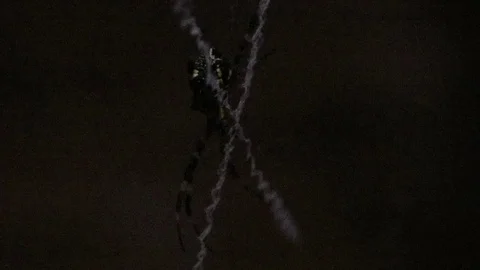 Close up of spider at night Stock Footage 101621829