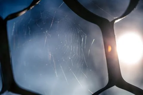 Close up of spider web with blurred background Stock Photos