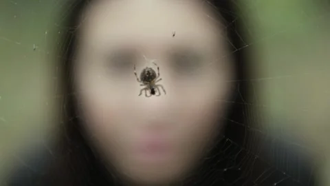 Close-up of a spider on a web with a blurred human figure in the forest Stock Footage 295929551