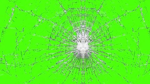 Close-up of a spider web with dew drops on a green background 스톡 동영상 341779590