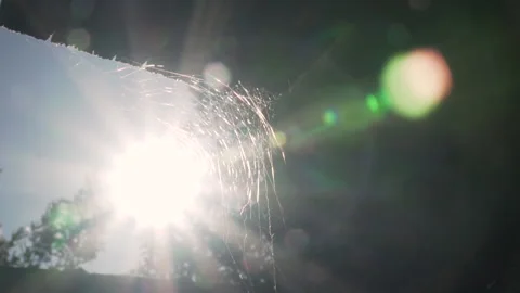 Close up of spider web moving with the wind Video stock 138903526