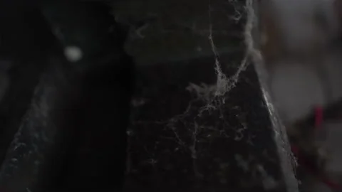 Close up of a spider web on the old wooden door Stock Footage 138482178
