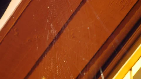 Close-up of spider web under the roof of the rural house, 4k shot Video stock 67237814
