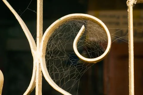 Close up of a spider web in a window with a dark blurred background. Stock Photos