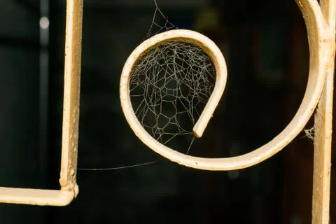 Close up of a spider web in a window Stock Photos