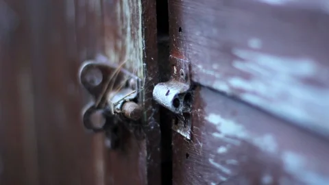 Close Up of Spiderweb Covered Latch on Creepy Wooden Shed Vídeo Stock 94474401