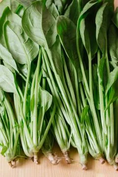 Close-up of spinach 스톡 사진