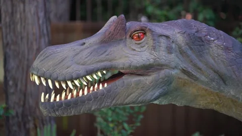 A close-up of the spinosaurus head turns its head to the sides, it was a fairly Stock Footage 280026095