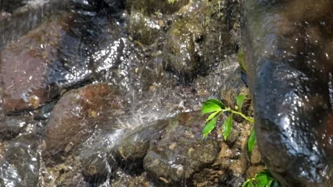 Close up splash of water flow from natural mountain spring falls on rock Video stock 319887108