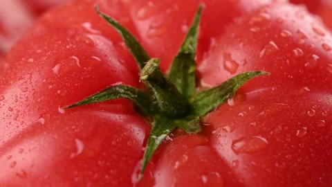 Close-up with splashes of clean water. Video about delicious juicy food. Stock Footage 271196675