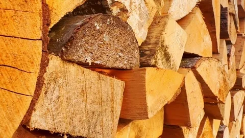 Close-up of split firewood stacked in warm sunlight, showing bark, cut grain Stock Footage 336213851
