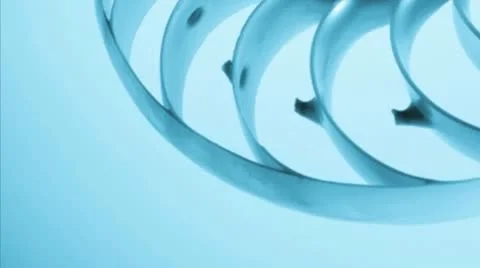 Close up of a split nautilus shell Stock Footage 21307302