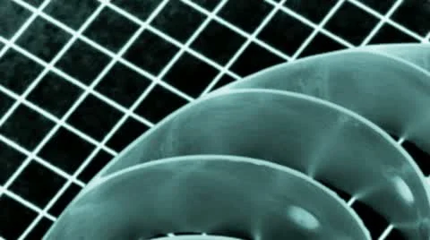 Close up of a split nautilus shell Stock Footage 21307454