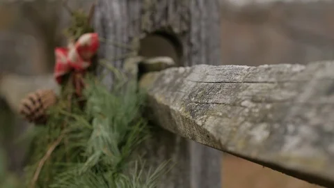 Close up split rail fence pan to christmas holly acorn Stock Footage 98838560