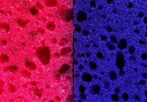 Close-up to sponge texture and pattern, colorful multicolorful surface backgr Stock Photos