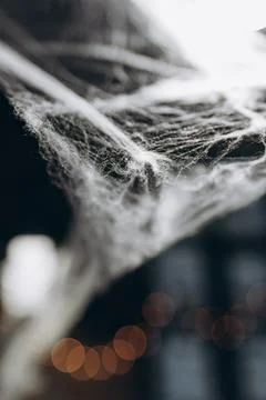 Close-up of spooky cobweb with blurred lights for Halloween theme Stock Photos