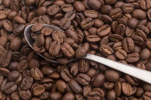 Close-up of a spoon with coffee beans Foto stock
