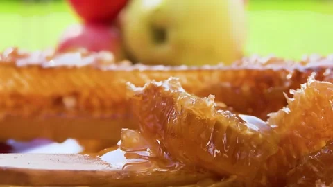 Close-up of the spoon taking a piece of the fresh sweet honey in honeycombs Stock Footage 289411750