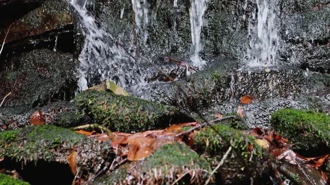 Close-up of a spray of a waterfall, spring water falls on the rocks Stock Footage 127560942
