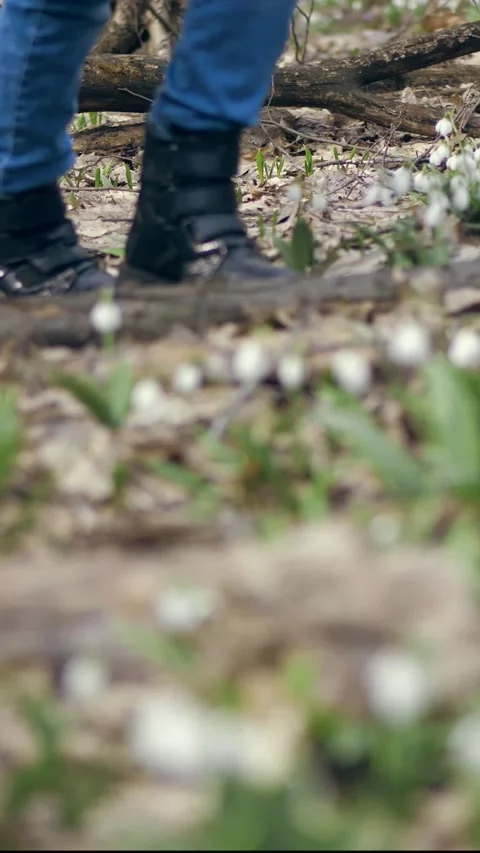 Close-up, in the spring forest, among snowdrops, walking female legs in boots, Stock Footage 308060651