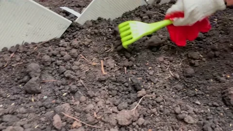 Close up of spring garden works, seeding plants Stock Footage 197309271
