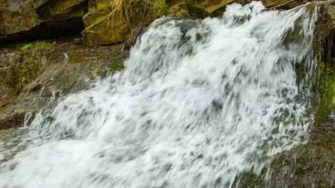 Close-up of spring mountain stream  in the Carpathian mountains. Video stock 81116224