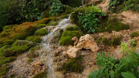 Close Up of spring water flowing by mossy limestone Stock Footage 117600550