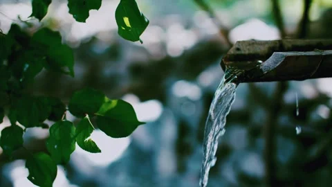 Close-up of spring water flowing out of a bamboo tube. Stock Footage 294028767